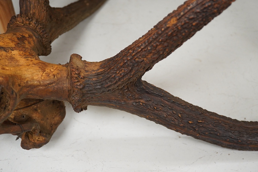 Two sets of deer antlers, one including the skull, the other with part of the skull, largest approximately 96cm high. Condition - fair, some staining to the skulls.